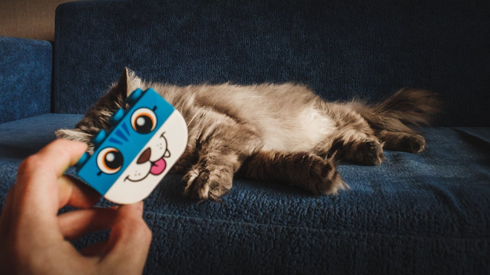 Photograph by Елена Горохова