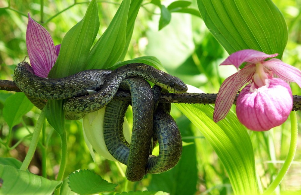 Photograph by Виктор Игнатенко.