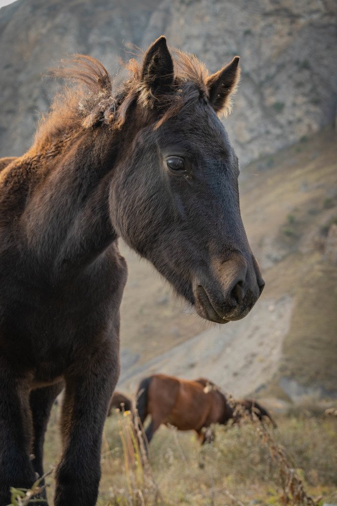 Фотография автора Оксана Белозерская