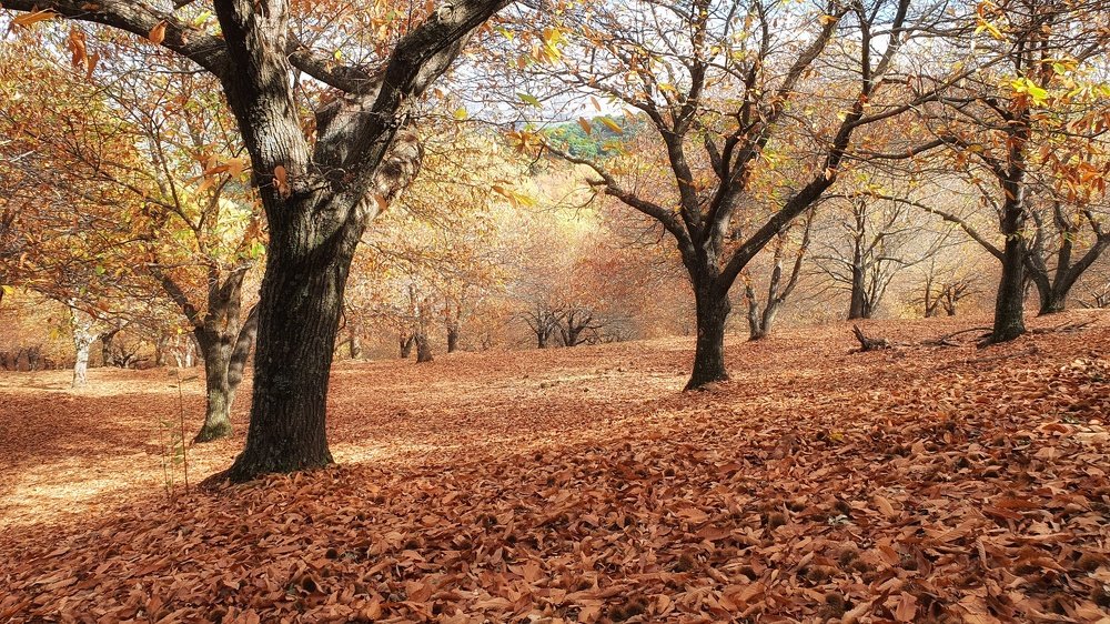 Photograph by Юлия Волженина