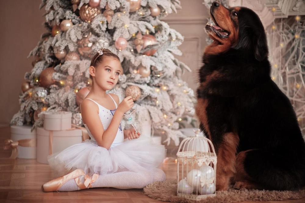 Мечты о балете