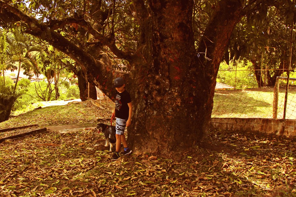 Photograph by Tatiana Barthem