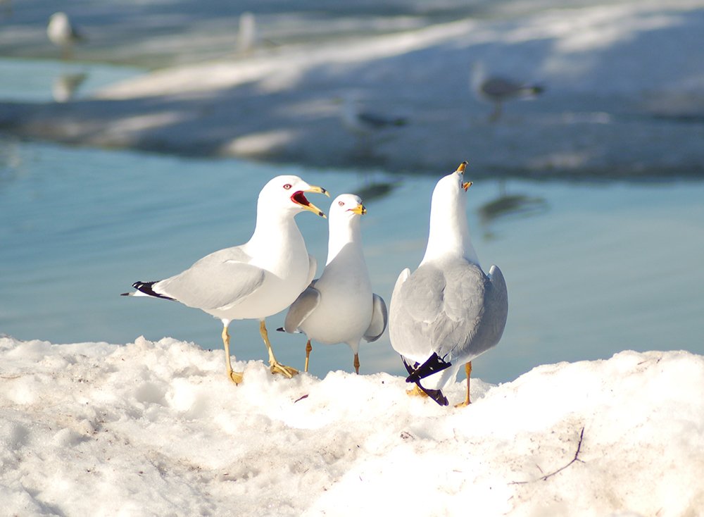 Photograph by Liliana Grup