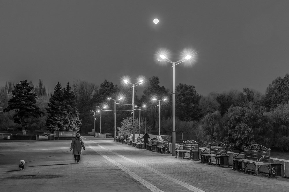 Photograph by Евгений Киселев