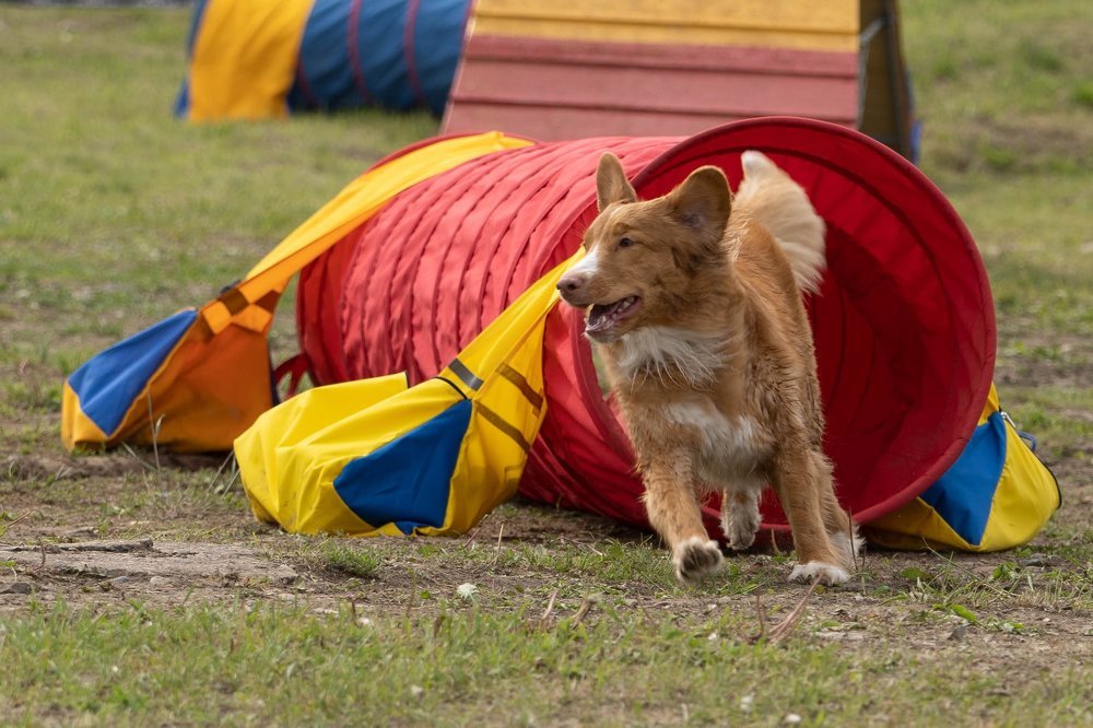 Photograph by Андрей Игнатенко