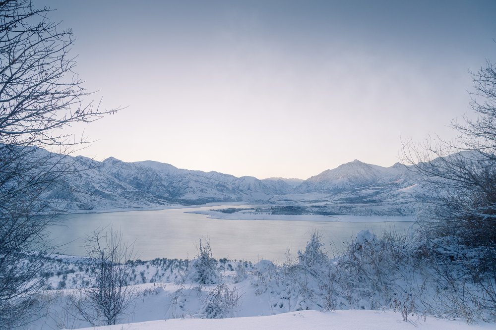 Photograph by Андрей Любицкий