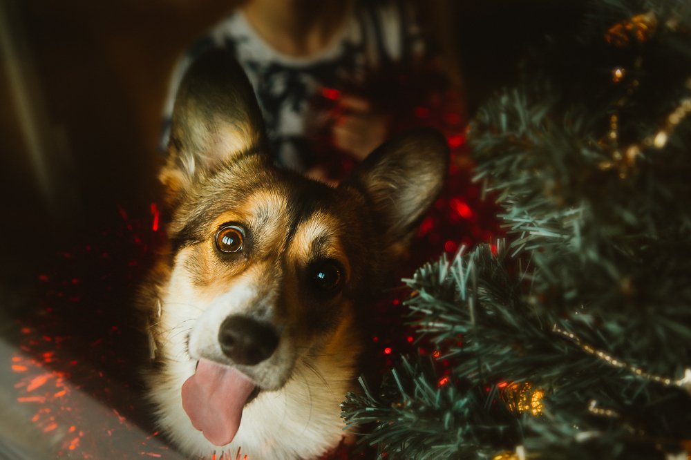 Photograph by Светлана