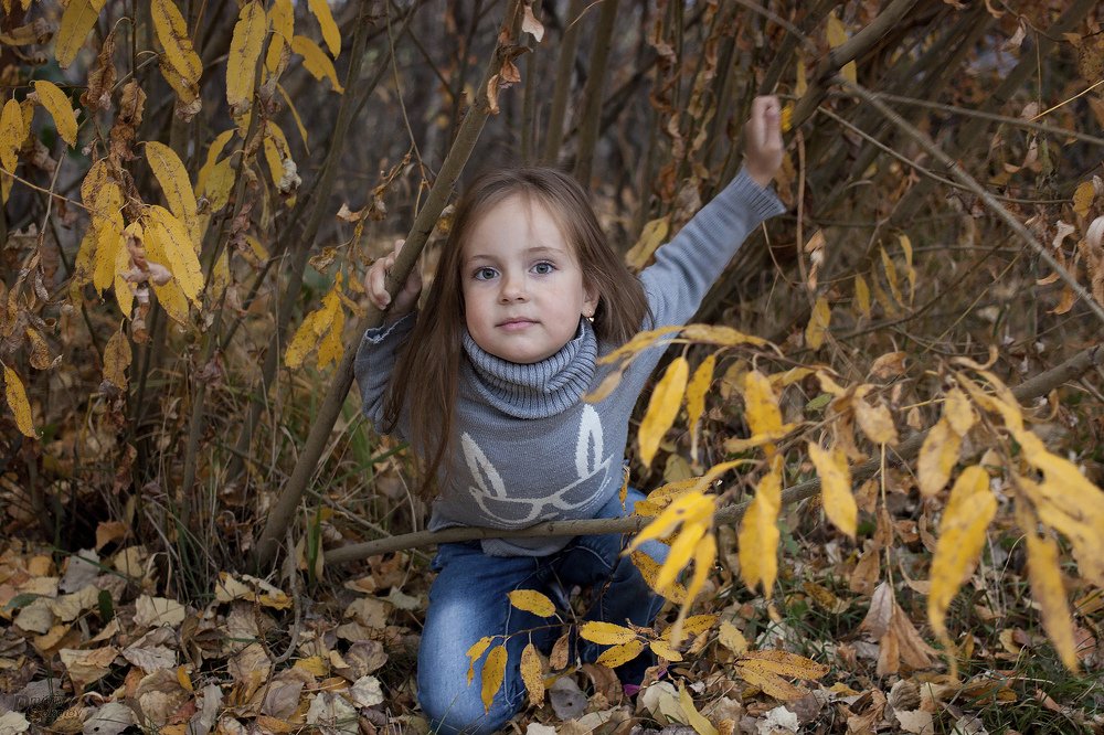 Photograph by Дмитрий Соколов