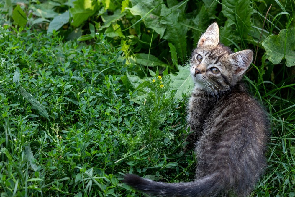 Photograph by Дмитрий Соколов