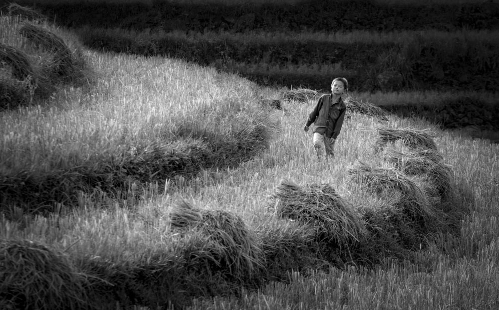 Photograph by CUONG NGUYEN VAN