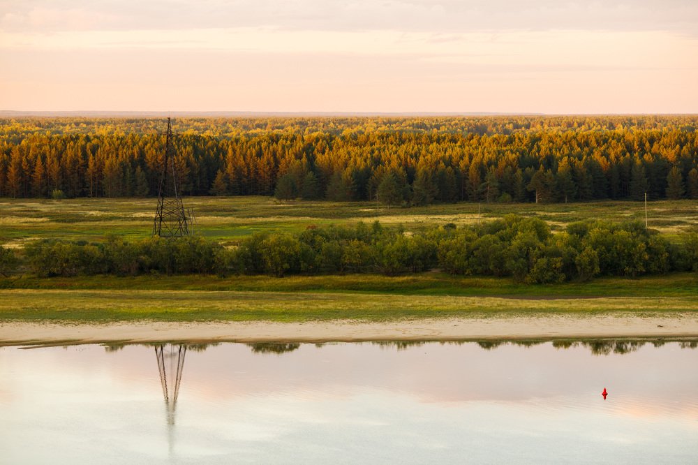 Photograph by Елена Горохова