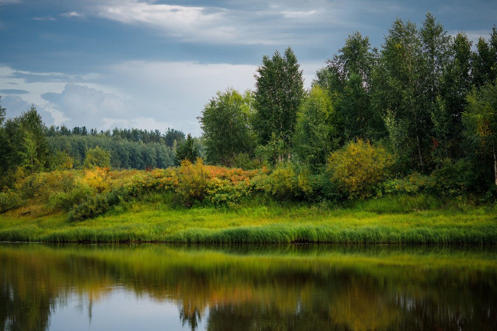 Photograph by Елена Горохова