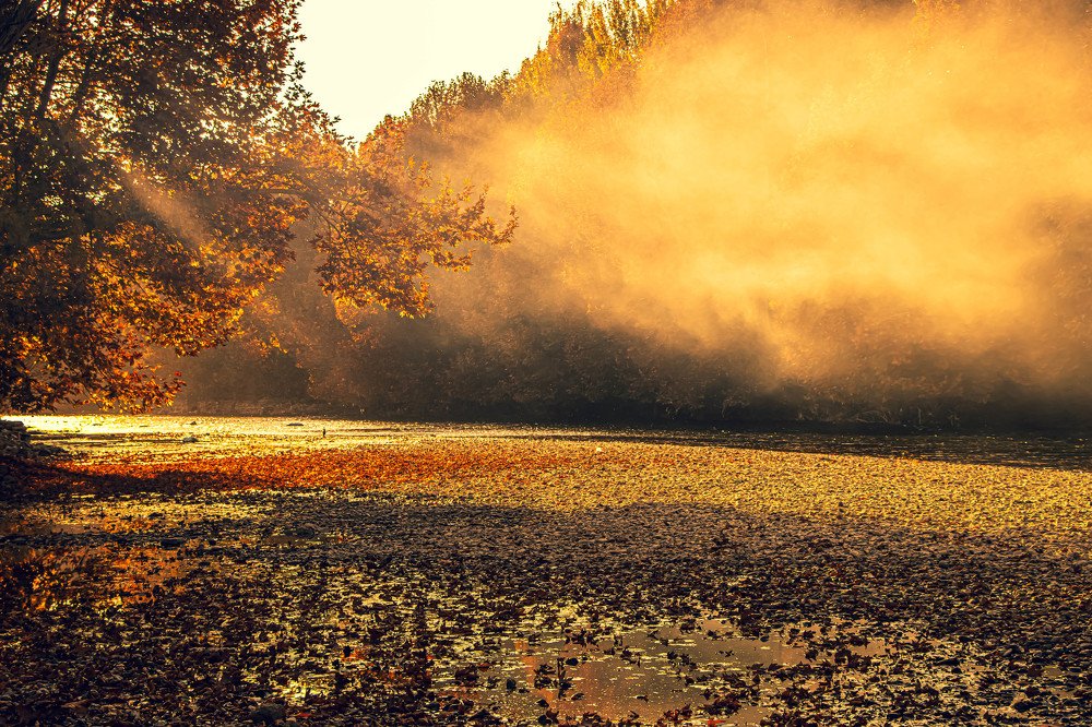 Photograph by Shahab