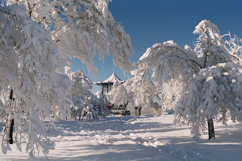 Photograph by Прялкин Сергей