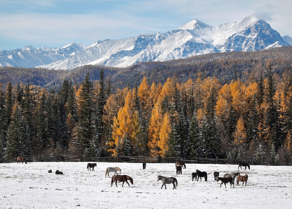 Photograph by Александр Попов
