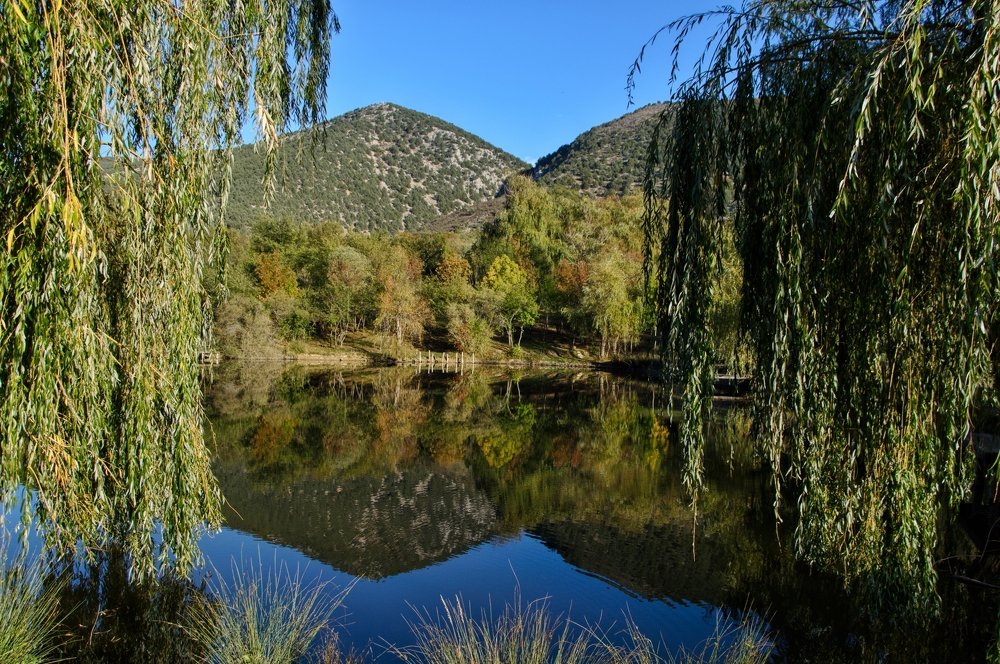 Photograph by Виктория Сметанина