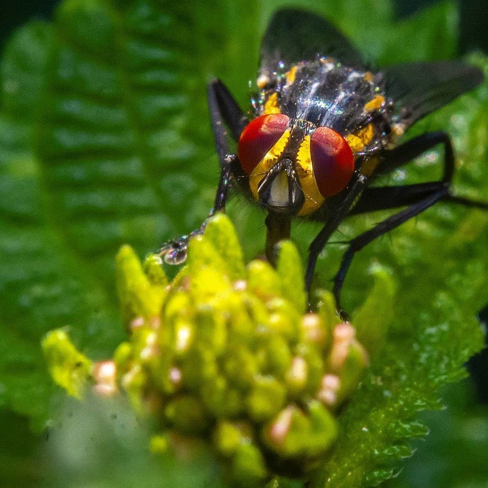 Photograph by FERNANDES FERMINIANO HENRIQUE