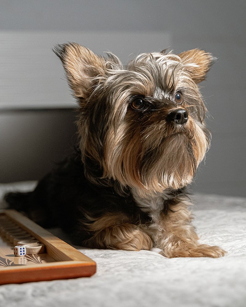 Photograph by Татьяна Богомазова