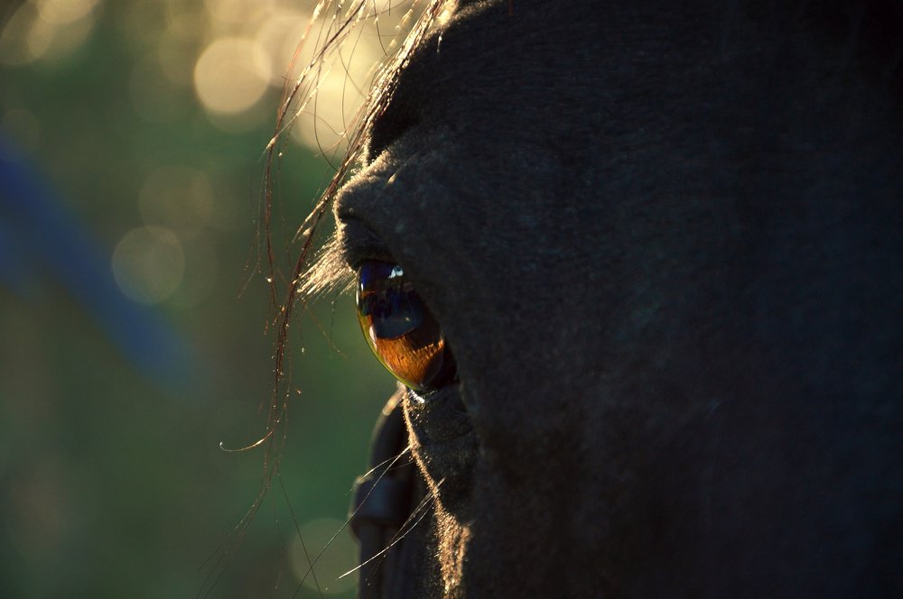 Photograph by Денис Ершов