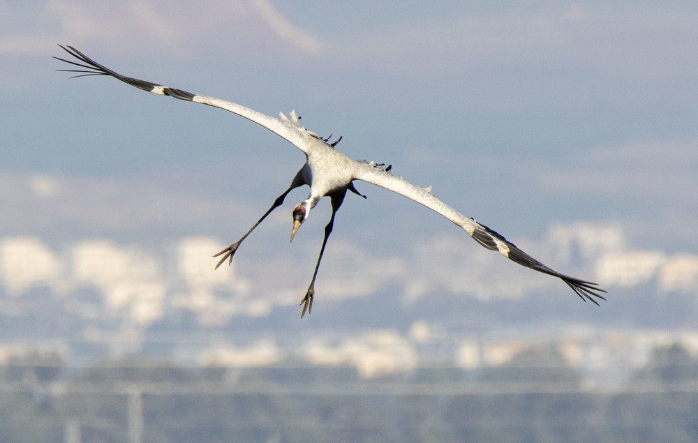 Photograph by Валентина Лопаткина