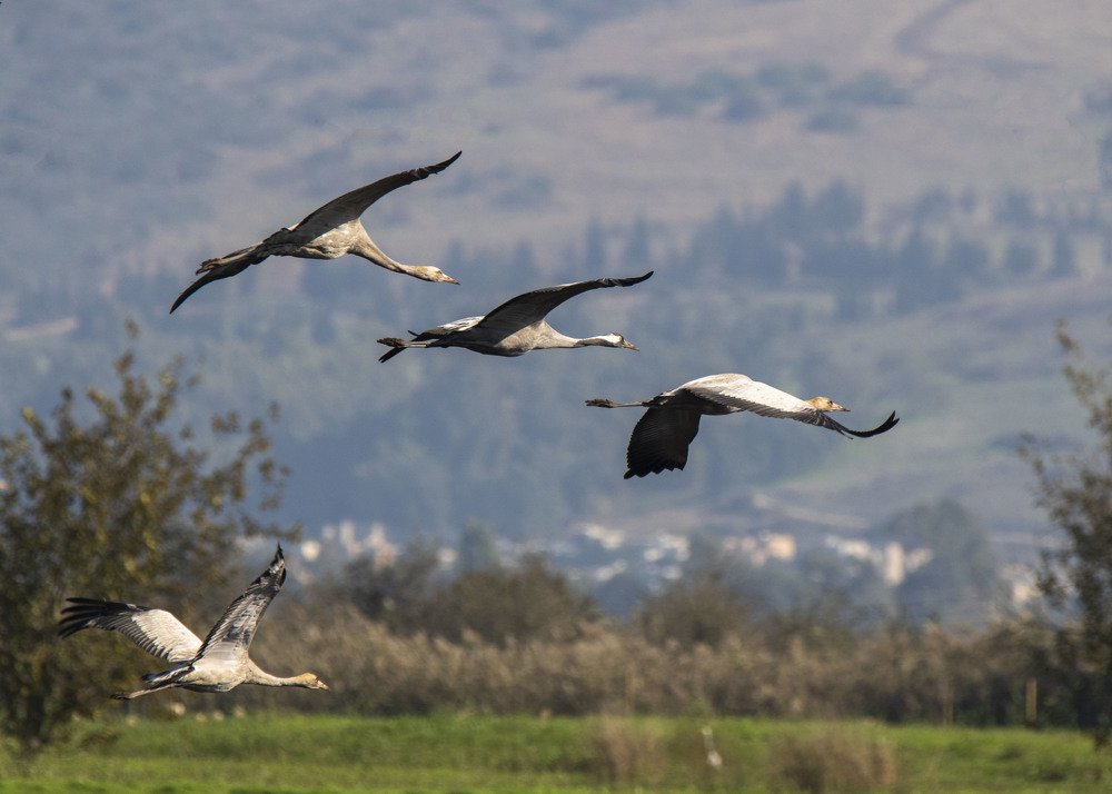 Photograph by Валентина Лопаткина