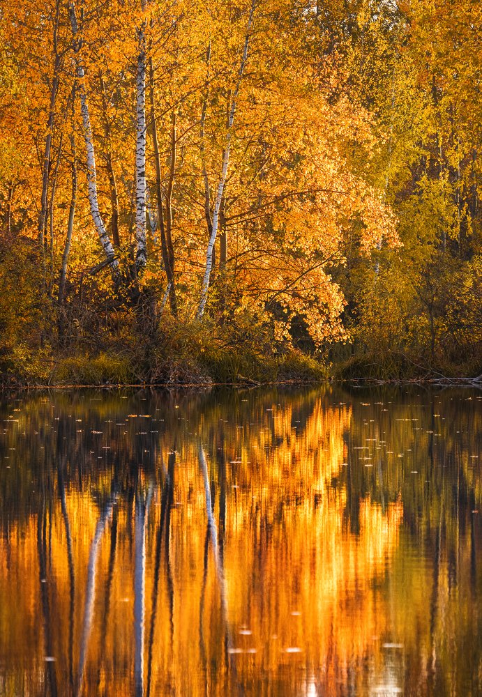 Фотография автора Гарбузов Илья
