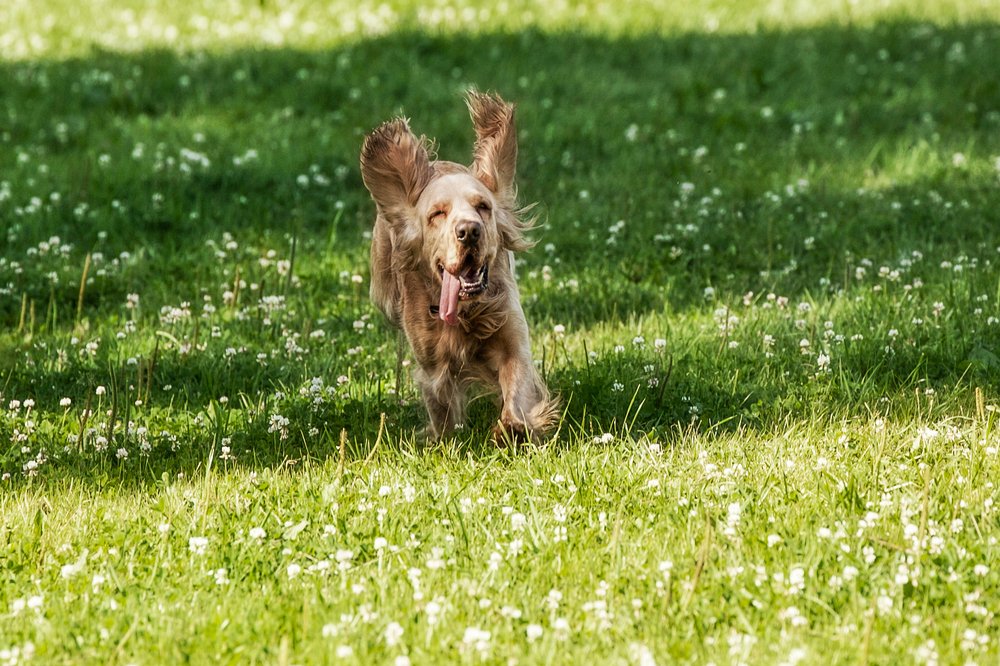 Photograph by Белова Лариса