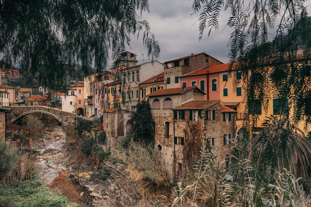 Фотография автора Olga Alekseeva