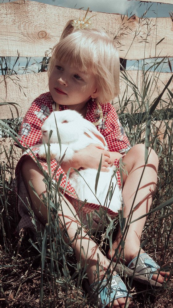 Photograph by елена кузьмина