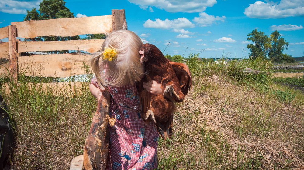 Photograph by елена кузьмина