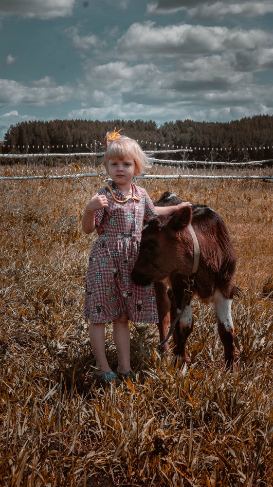 Photograph by елена кузьмина