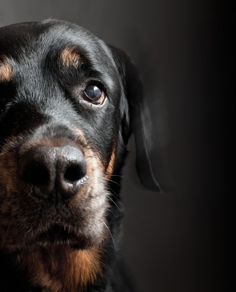 Photograph by Татьяна Макотра