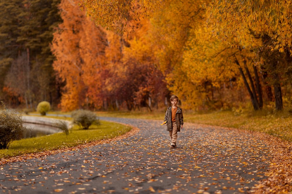 Благодарность осени