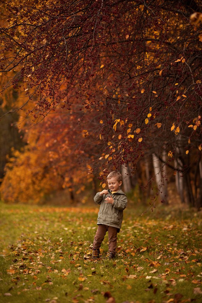 Художник-Осень