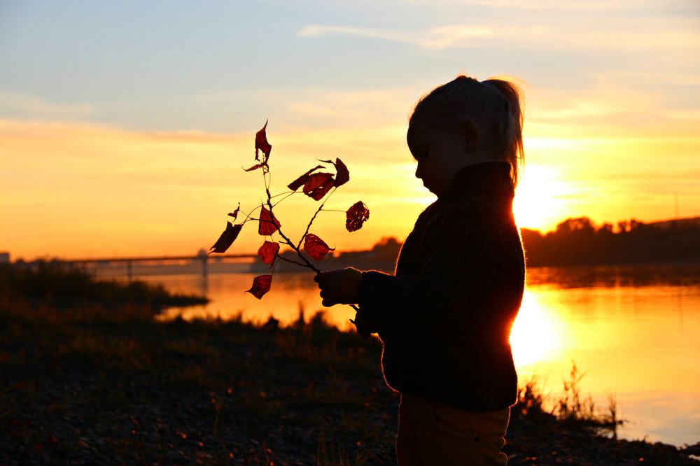 Photograph by Анастасия Ванина