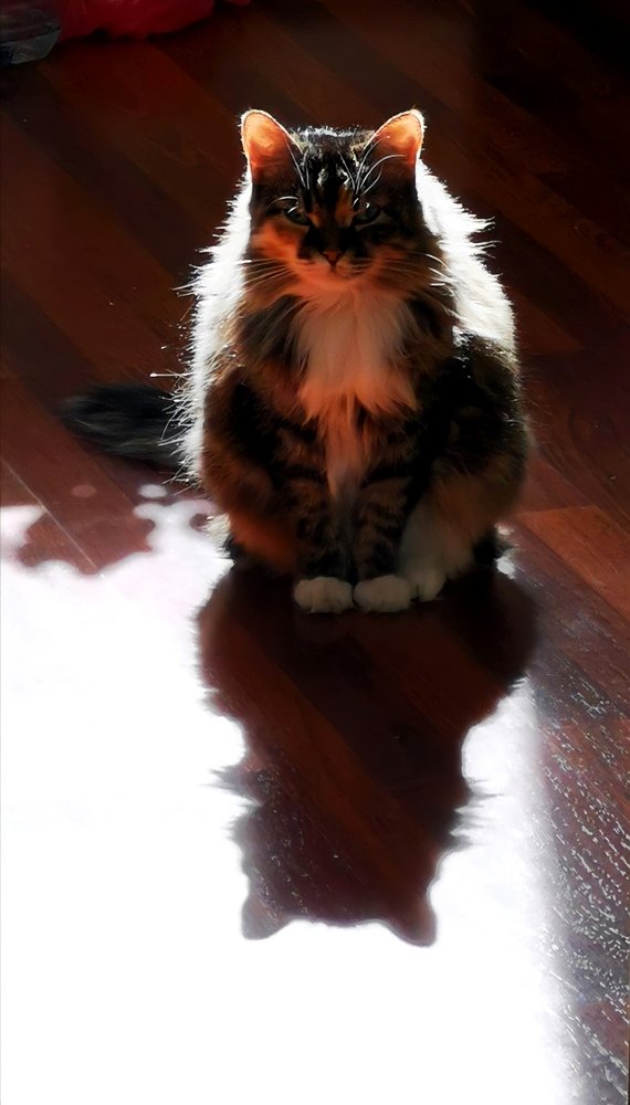 Photograph by Елена Артёменко