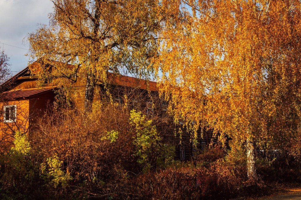 Осень.Улица Темкина.