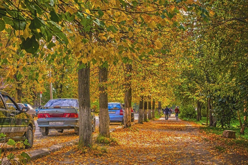 Photograph by Виктор Пазылов