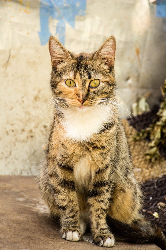 Photograph by Арсений Самогоров