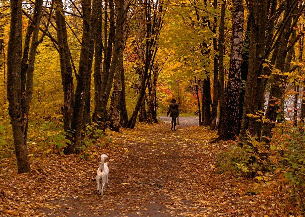 Осень. Одиночество.