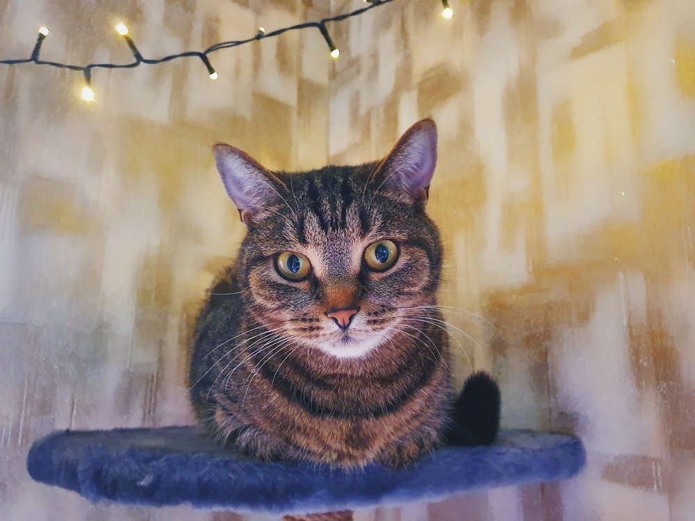 Photograph by Татьяна Александрова