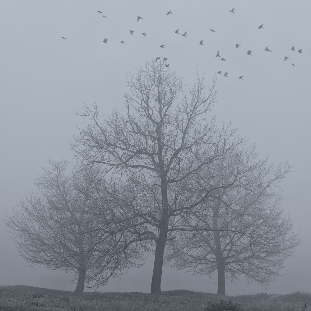 Фотография автора Игорь Баранов