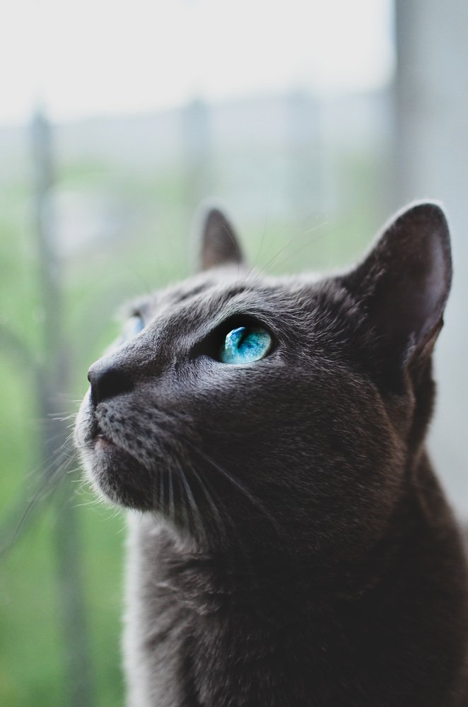 Photograph by Ольга Мукина