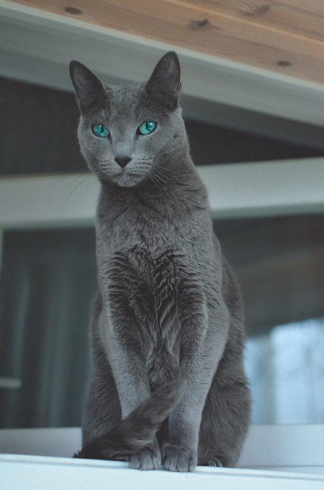 Photograph by Ольга Мукина