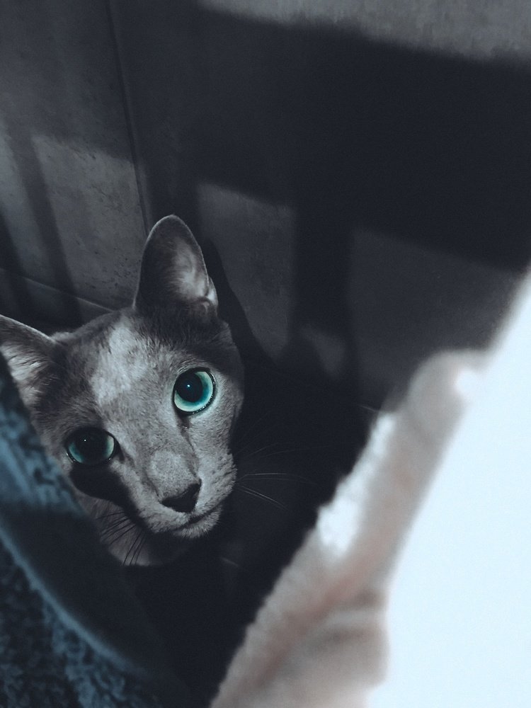 Photograph by Ольга Мукина