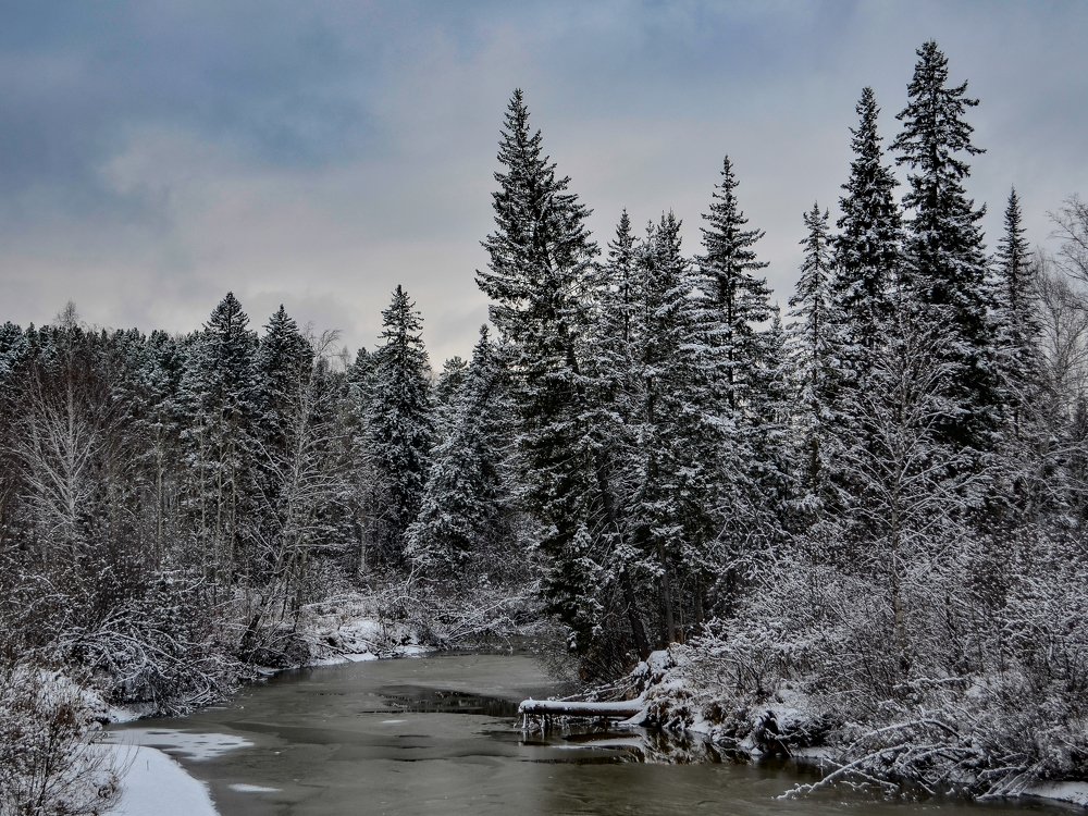 Photograph by Сергей Глухарев