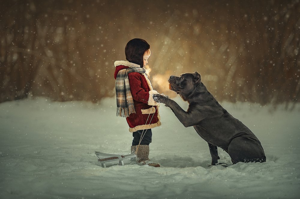 Photograph by Ксения Лысенкова