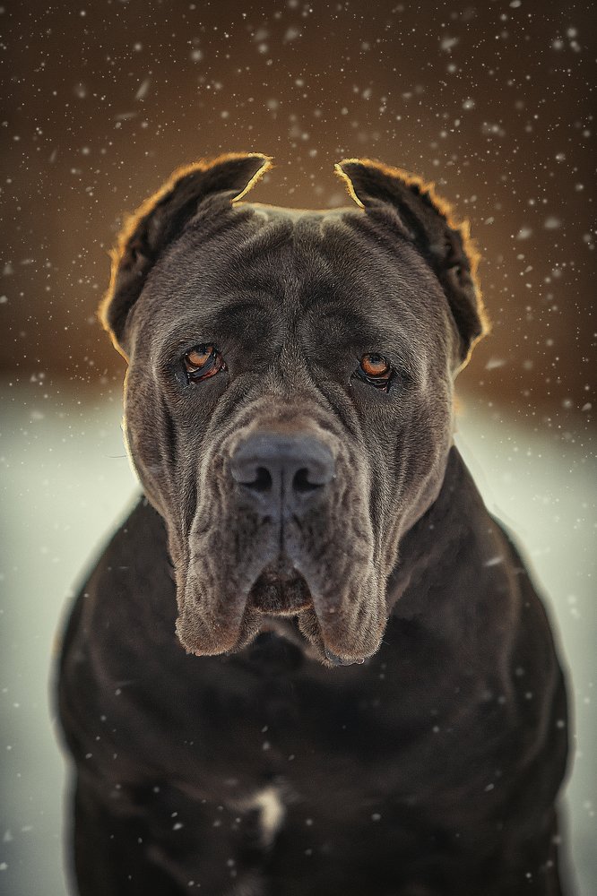 Photograph by Ксения Лысенкова