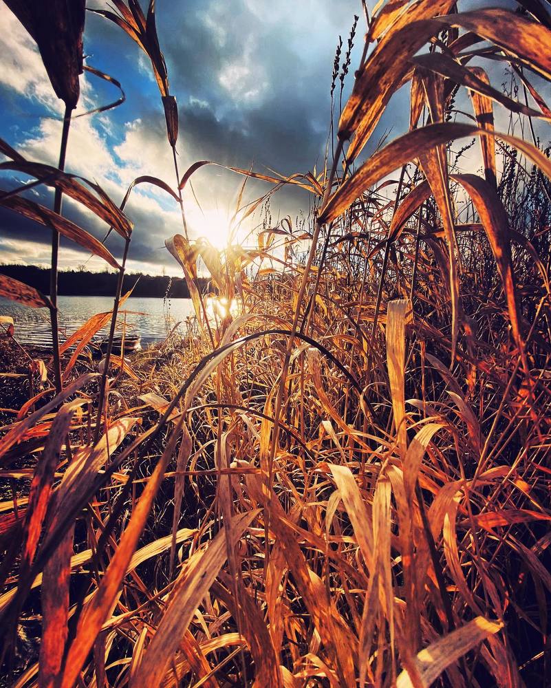 Photograph by Ирина Иванова