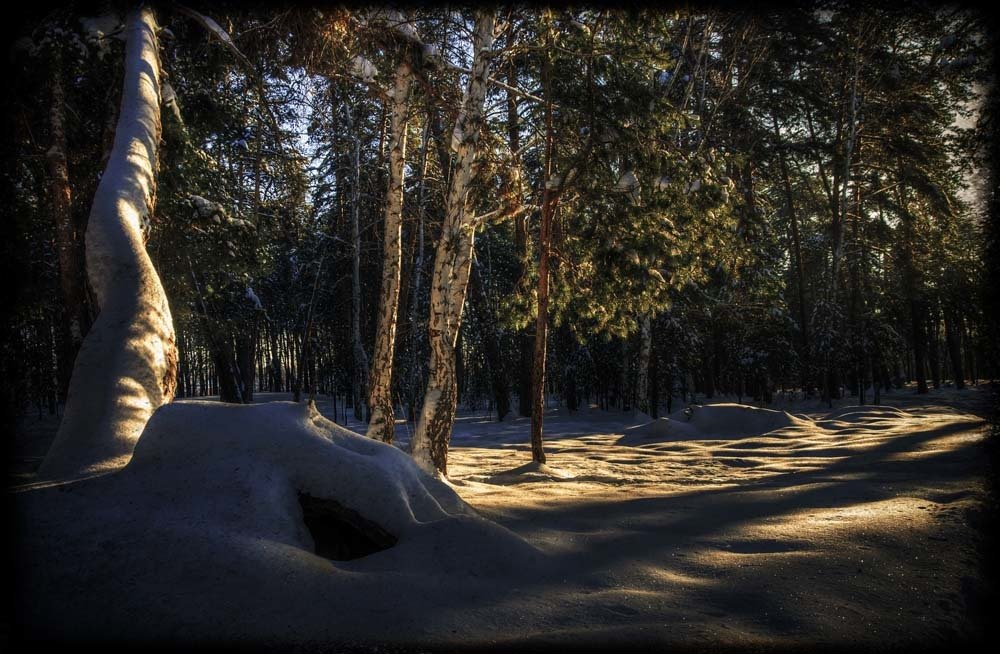 Photograph by Валентин Александров